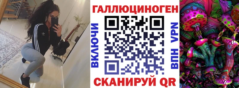МЕГА tor  купить  сайты  Новоульяновск  Галлюциногенные грибы Psilocybine cubensis 